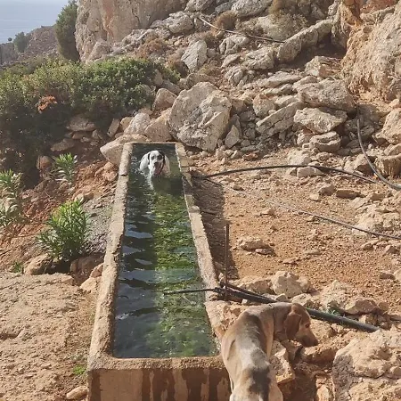 בית הארחה Christos And Family