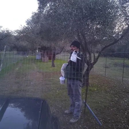 בית הארחה Christos And Family