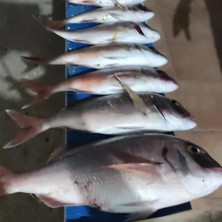 Christos Studios&family