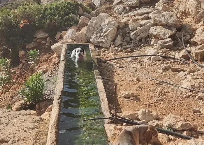 Penzion Christos And Family