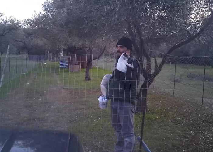 Pensión Christos Studios&family